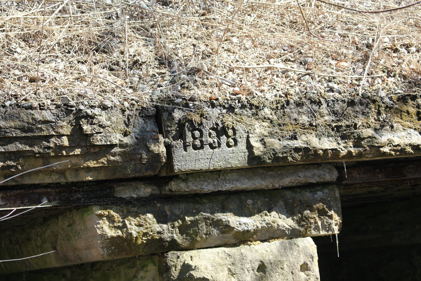 Date stone